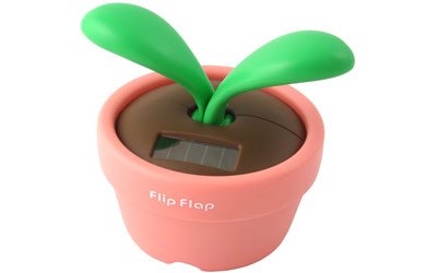 Childrens Toyshop  Toys : Pink Flip Flap Desk Plant