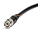 Cmple RG59U 6 Feet BNC Male to RCA Male, 75 Ohm, Coaxial BNC to RCA Video Cable, Black, (447-N)