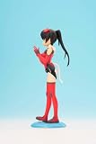 �w�X�J�C�K�[���Y ����l�� ���e�ݒ�Ō���J���[ (1�^7�X�P�[��PVC�h���ϊ����i)�x���g�債�Č���