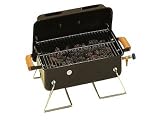 Portable Lava Rock Gas Barbecue