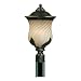 Westinghouse 69528 Byberry Three-Light Exterior Post Top Fixture, Marbleized Bronze Finish with Champagne Mist Globe