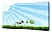 Angry Birds 6 - Canvas Art Print - Framed Size 12"x16" - Ready To Hang