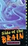 Dark Side of the Brain (Weird World)