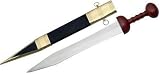 Sporting Goods : Roman Legionaire Sword