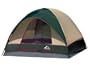 WeatherRite Fast-Pitch 9'x9' 4 Person Tent