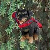 Christmas Ornament - Rottweiler