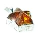 Honey Amber Star Pendant in Sterling Silver