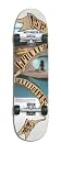 Gravity 32 POOL THE HOT TUB MODEL Complete Longboard Skateboard