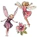 Enchanted Flower Fairies Wallies Wallpaper Cutouts