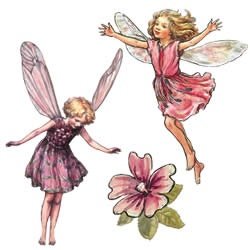 Kitchen: Enchanted Flower Fairies Wallies Wallpaper Cutouts