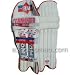 Sporting Goods : BDM Commander County Youth Batting Leg Guards