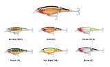 X-Rap Jointed Shad Perch