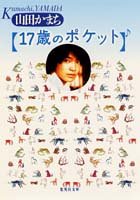 17歳のポケット (集英社文庫)