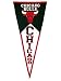 Chicago Bulls Classic Pennant
