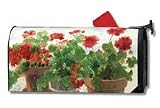 Red Geraniums Mailwrap