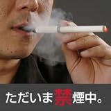 健康グッズ/禁煙グッズ/火のないところに水煙 クリーンシガレット