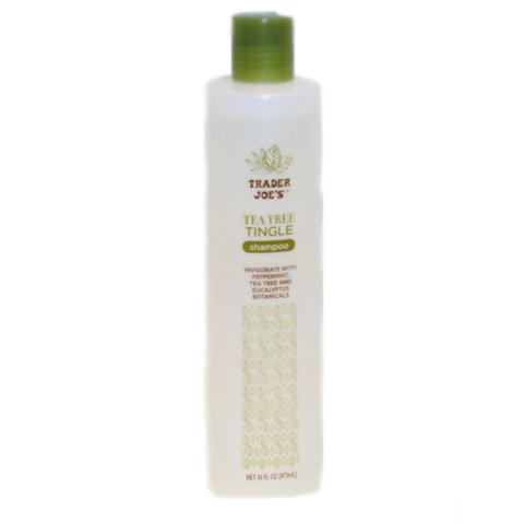 Trader Joe's Tea Tree Tingle Shampoo with Peppermint, Tea Tree and Eucalyptus Botanicals, 16-Ounces