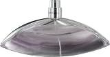 Euphoria by Calvin Klein for Women  Eau De Toilette Spray, 3.4 Ounce