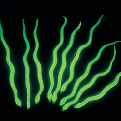 72 Mini Glow in the Dark Snakes