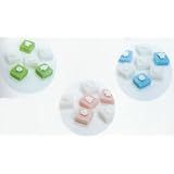 Decorated Sugar Cubes Box Shells Green by Escape Concepts