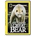 National Geographic's Last Stand of the Great Bear
