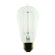 1910 Antique Replica Light Bulb, 40 Watt, 120 Volt, 28 Candle Power
