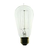 1910 Antique Light Bulb / 40 Watt, 120 Volt / Squirrelcage Filament Reproduction Light Bulb