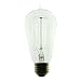 1910 Antique Replica Light Bulb / 40 Watt, 120 Volt / Squirrelcage Filament Reproduction Light Bulb
