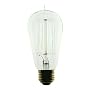 1910 Antique Light Bulb, 40 Watt, 120 Volt, 28 Candle Power