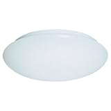 Sea Gull Lighting 5902BLE-15 Energy Star ADA Close-to-Ceiling Fixture, White Finish Aluminum