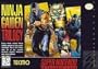 Ninja Gaiden Trilogy