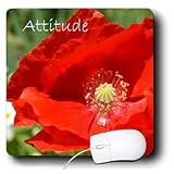 Patricia Sanders Flowers - Inspirational Attitude Poppy - Mouse Pads
