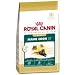 maine coon - Royal Canin Feline Breed Nutrition Maine Coon 31 Formula (15-lb bag)