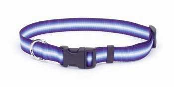 C NYL GRAD COLLAR LG 1