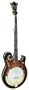 Gold Tone EBM-5 Electric Banjo (Five String, Tobacco Sunburst)