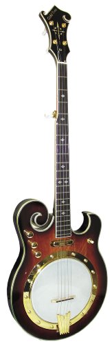 Gold Tone EBM-5 Electric Banjo Five String, Tobacco Sunburst