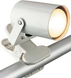 LAMPS BEAUTIFUL Contemporary Office Task Study Clip On Light by Litesource--White
