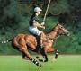 Polo: Abierto Argentino de Palermo (Spanish Edition)