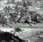 Falkenbach - ...En Their Medh Riki Fara... - Zortam Music