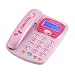 Hello Kitty Call Display Telephone