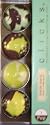 iPop Clicks Stacey Asato Gingko Leaf Clicks 4-Pack Magnet Set