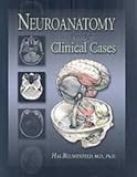 Neuroanatomy Through Clinical Cases