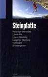 Produkt-Bild: Kletterf&uuml;hrer Steinplatte: Waidringer Steinplatte, Loferer Alm, Loferer Steinberg, Leoganger Steinberg, Hohlwegen & Kletterg&auml;ren