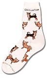 For Bare Feet Chihuahua Poses Socks