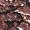 Bissinger's Pecan Bark