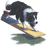 Border Collie Dog Womens T-Shirt Dress