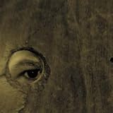Music : Circle