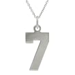 Sterling Silver Number 7 Necklace