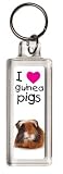 I Love Guinea Pigs Keyring