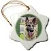 Dogs German Shepherd - German Shepherd Portrait - Ornaments